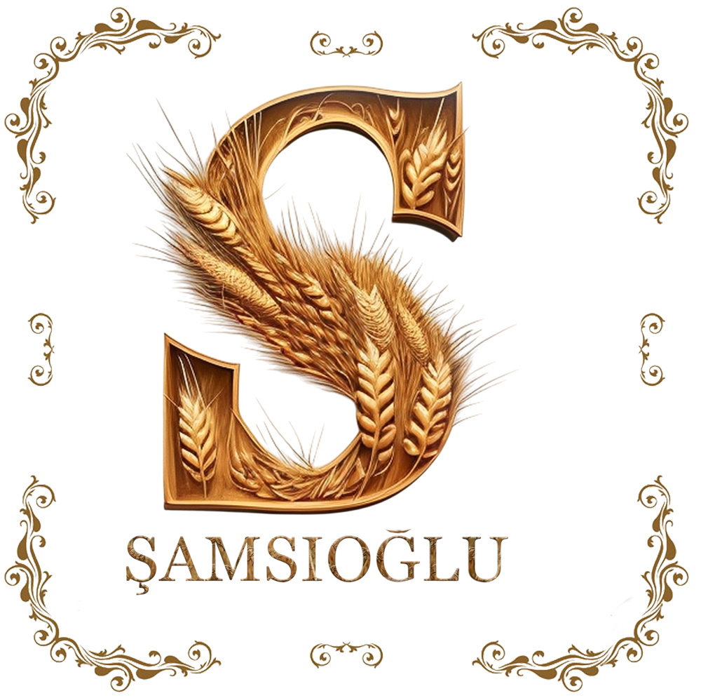 Şamsıoğlu